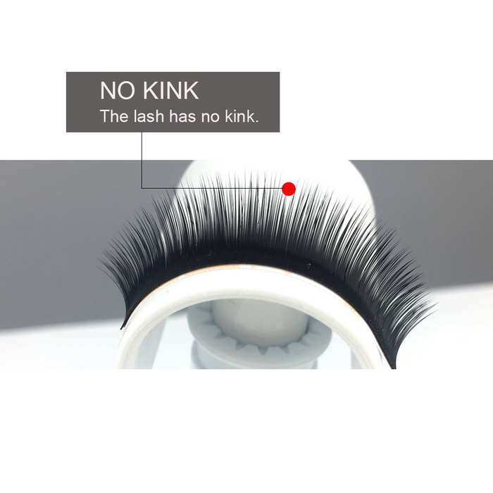 Beautiful camellia eyelash extensions 6D SN124